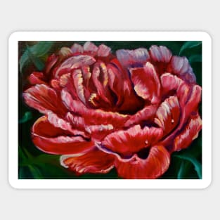 Peony Sticker